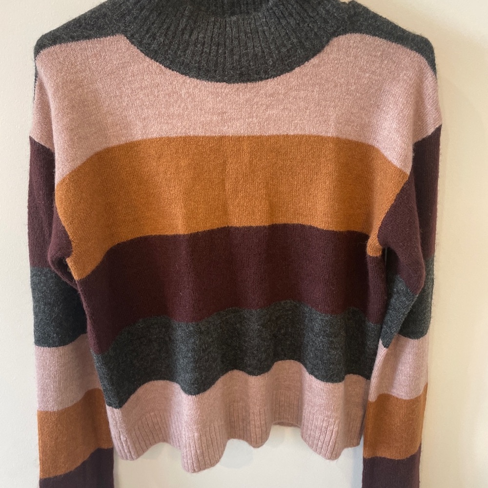 EXPRESS turtleneck striped sweater